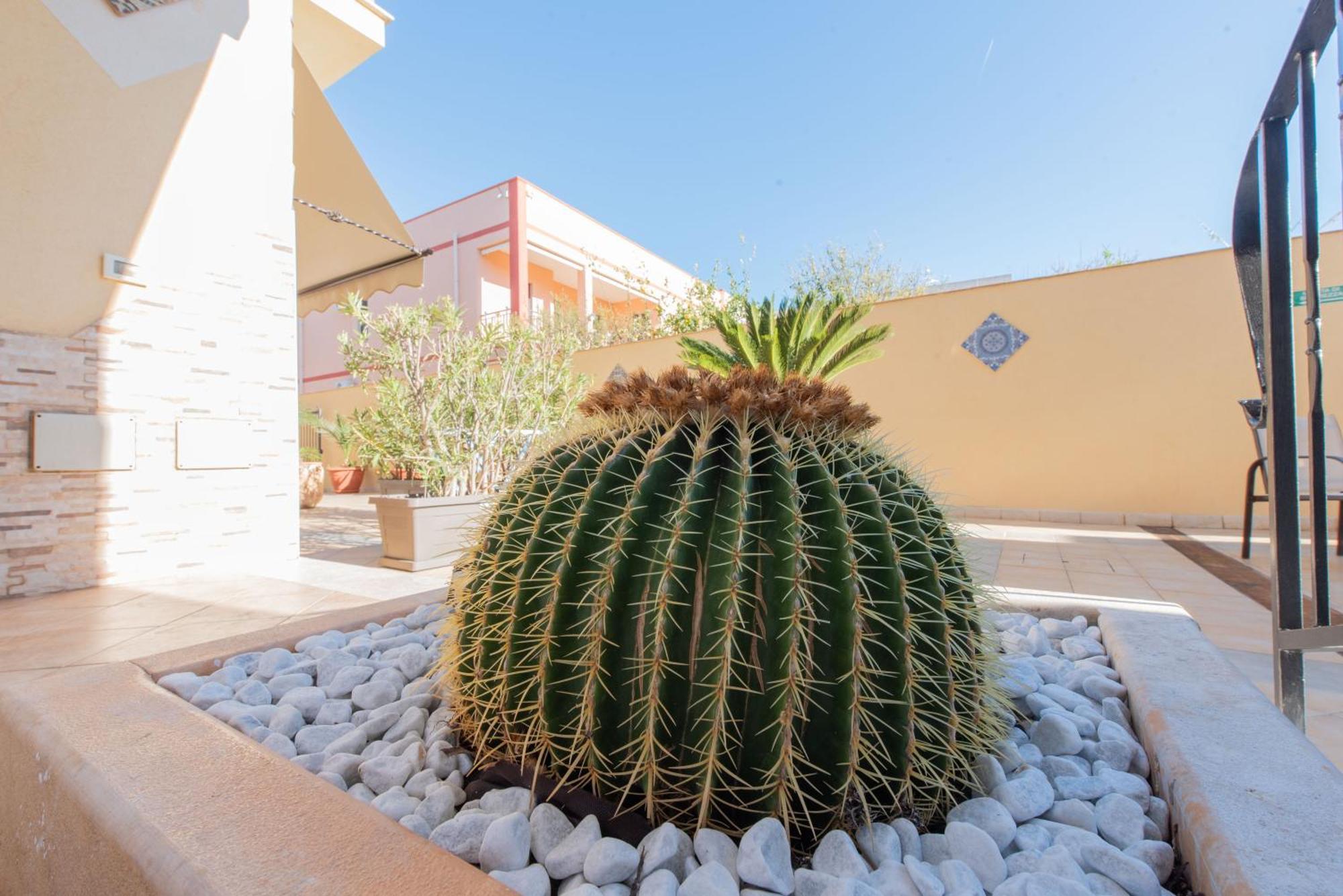 Room And Breakfast Aloe San Vito Lo Capo Luaran gambar